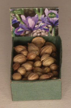 Flower Bulb Bin #11 by Shepherds