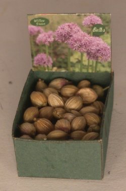 Flower Bulb Bin #13 by Shepherds