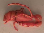Lobster by Manuela Michieli