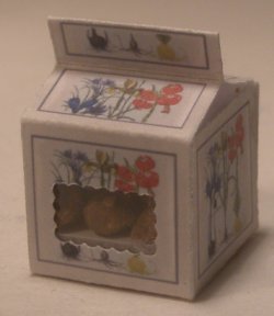 Flower Bulbs in Box #4 by Andrea Thieck