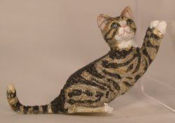 Cat #12 Scratching by David Ward