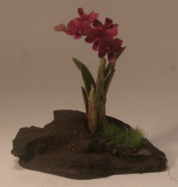 Orchid #80 by Pat Richmond