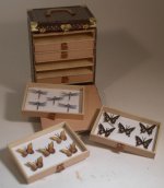 LV Designer Butterfly Collector Trunk by Jose Gomez