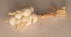 String oi Garlic by Country Contrast