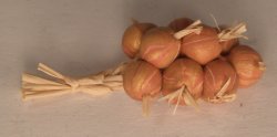 String on Onions by Country Contrast