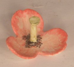Poppy Server by Veronique Cornish