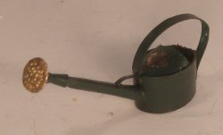 Watering Can #2 by Andrea Thieck
