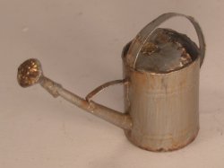 Watering Can #1 by Andrea Thieck