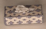 Tissue Box #4 by Alice Gegers