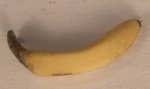 Banana by Geogia Marfels