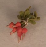 Bunch of Radishes by Georgia Marfels