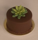 Flower Cake#1 by Marina Serna Box