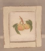 Botanical Fruit #3 Framed Print by Patrizia Santi