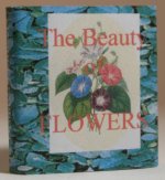 The Beauty Flowers by Dateman