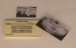 X-Rays #2 by Shepherds