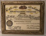 Nurse Diploma by Leads