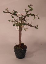 Dogwood Tree by Marie Petrik