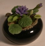 Waterlily by Paula Gilhooley
