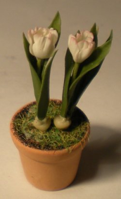 Tulip #22 by Pat Richmond