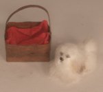Dog in Basket #8 by Alice Zinn
