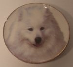 China Plate Dog #1