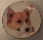 China Plate Dog #6