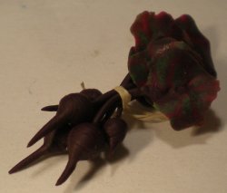 Bunch of Beets by Linda Cummings