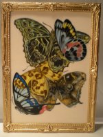 E.A. Seguy's Burrerfly/Insect Study #3 by Christopher Whitford