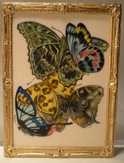 E.A. Seguy's Burrerfly/Insect Study #3 by Christopher Whitford