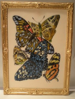 E.A. Seguy's Burrerfly/Insect Study #6 by Christopher Whitford