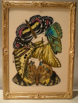 E.A. Seguy's Burrerfly/Insect Study #7 by Christopher Whitford