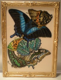 E.A. Seguy's Burrerfly/Insect Study #8 by Christopher Whitford