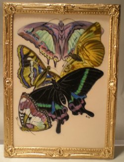 E.A. Seguy's Burrerfly/Insect Study #9 by Christopher Whitford