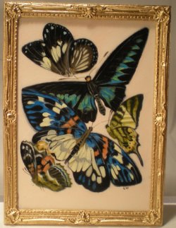E.A. Seguy's Burrerfly/Insect Study #11 by Christopher Whitford