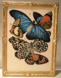 E.A. Seguy's Burrerfly/Insect Study #12 by Christopher Whitford