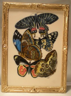 E.A. Seguy's Burrerfly/Insect Study #13 by Christopher Whitford