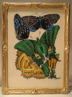 E.A. Seguy's Burrerfly/Insect Study #14 by Christopher Whitford