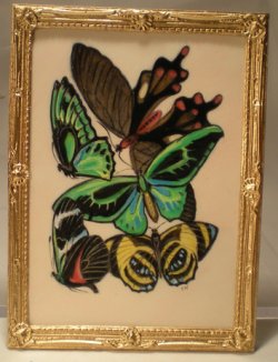 E.A. Seguy's Burrerfly/Insect Study #15 by Christopher Whitford