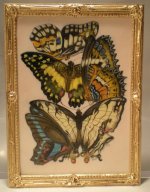 E.A. Seguy's Burrerfly/Insect Study #18 by Christopher Whitford