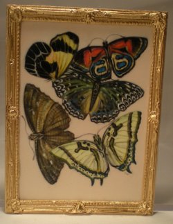E.A. Seguy's Burrerfly/Insect Study #20 by Christopher Whitford