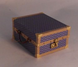 Goyard Collection Trunk #2 by Jose Gomez