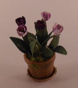 Purple Parrot Tulips by Artistic Florals