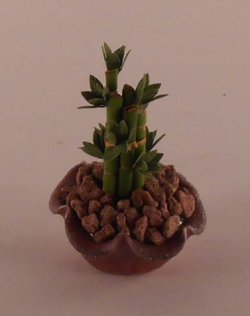Luckey Bamboo 813 by Artistic Floras