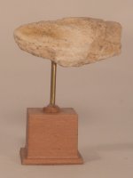 Fossil Sculpture #3 by Taller Targioni