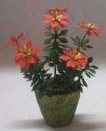 Pointsettia by Christine Dell'Anna