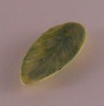 Leaf Dish 14-46 by Anne Dalton
