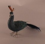 Peacock #2 by Peter Clark