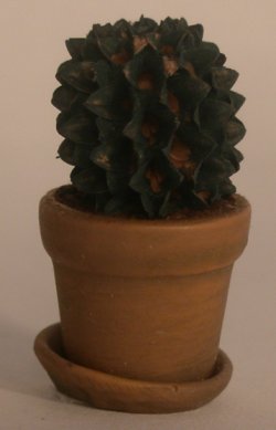 Cacti #3 by Artistic Florals