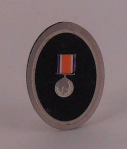 British War 1914-1920 Medal in Frame by Carol Lester