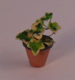 Plant #B by Hiroyuki & Kyoko